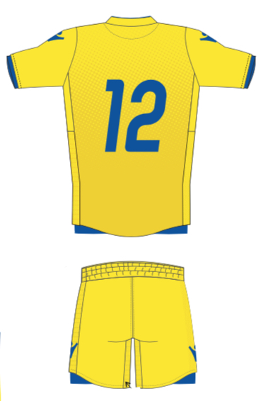 Away Jersey (custom) игровая майка (индивидуальный пошив)